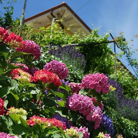 Bed & Breakfast Antiche Pietre Bollengo