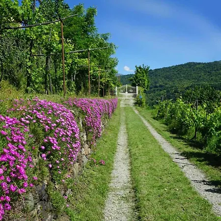 Antiche Pietre Panzió 4*