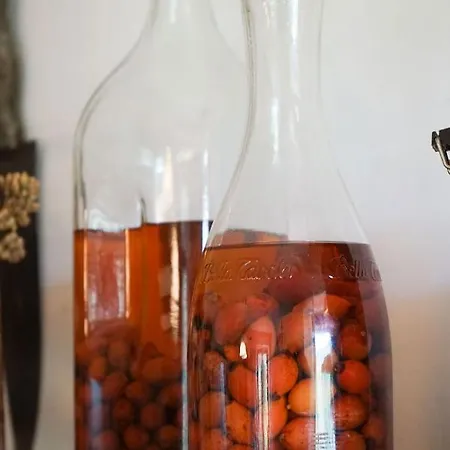 Antiche Pietre 4* Bollengo