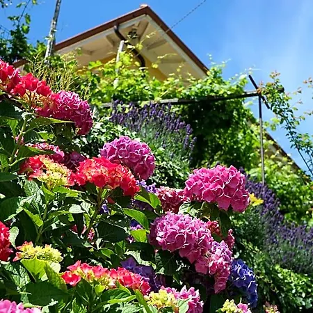 Bed & Breakfast Antiche Pietre Bollengo