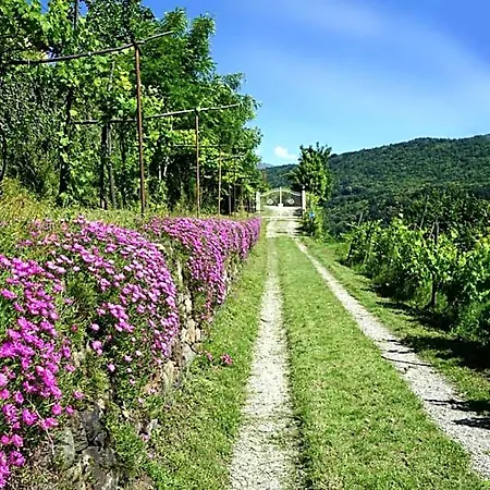 Bed & Breakfast Antiche Pietre 4*