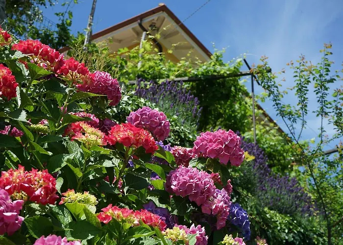 Bed & Breakfast Antiche Pietre Bollengo