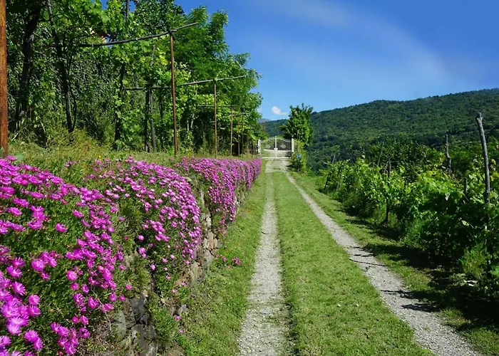 Antiche Pietre B&B 4*